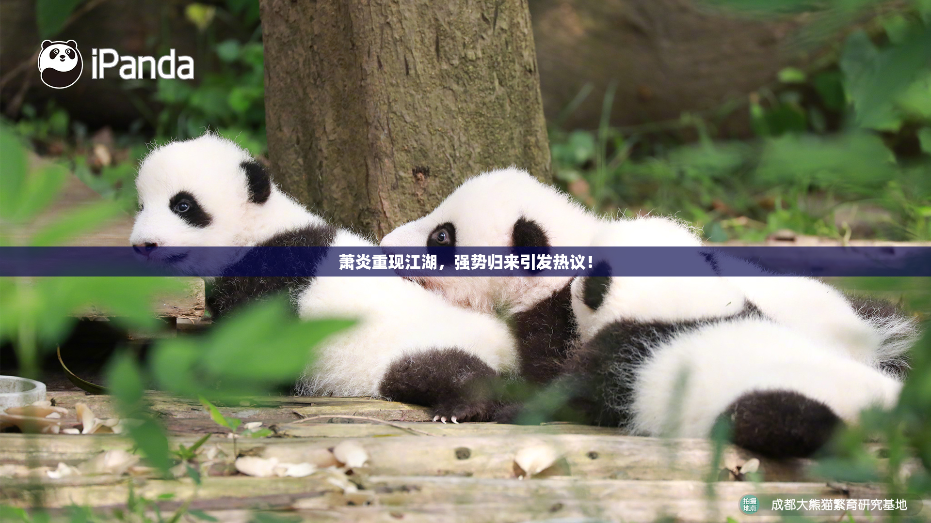萧炎重现江湖，强势归来引发热议！