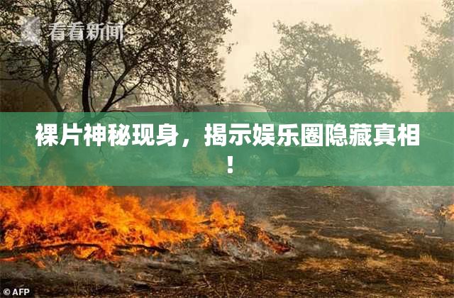 裸片神秘现身，揭示娱乐圈隐藏真相！