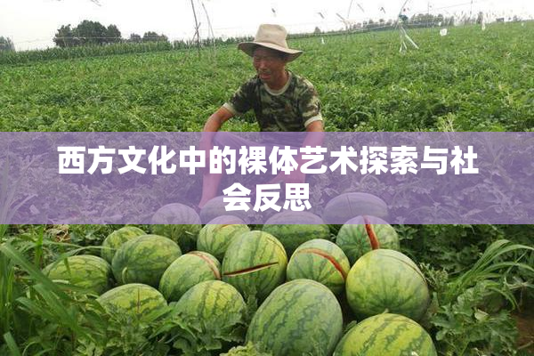 西方文化中的裸体艺术探索与社会反思
