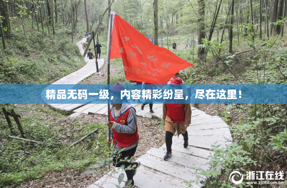 精品无码一级，内容精彩纷呈，尽在这里！