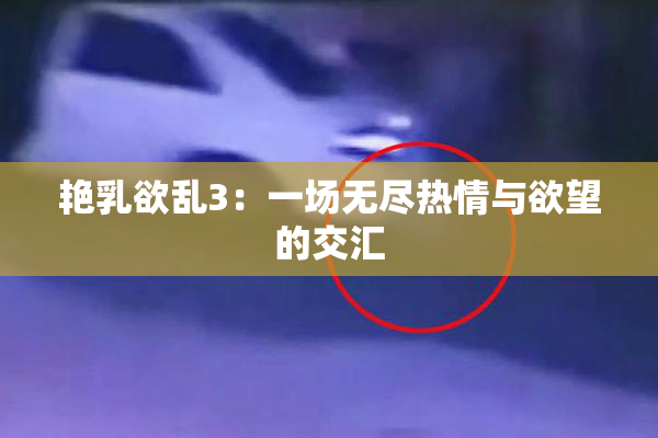 艳乳欲乱3：一场无尽热情与欲望的交汇