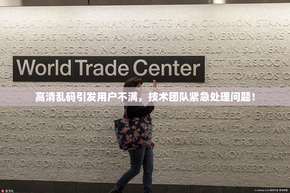 高清乱码引发用户不满，技术团队紧急处理问题！