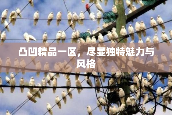 凸凹精品一区，尽显独特魅力与风格