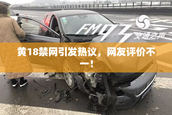黄18禁网引发热议，网友评价不一！