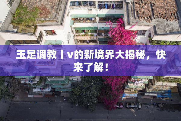 玉足调教丨v的新境界大揭秘，快来了解！