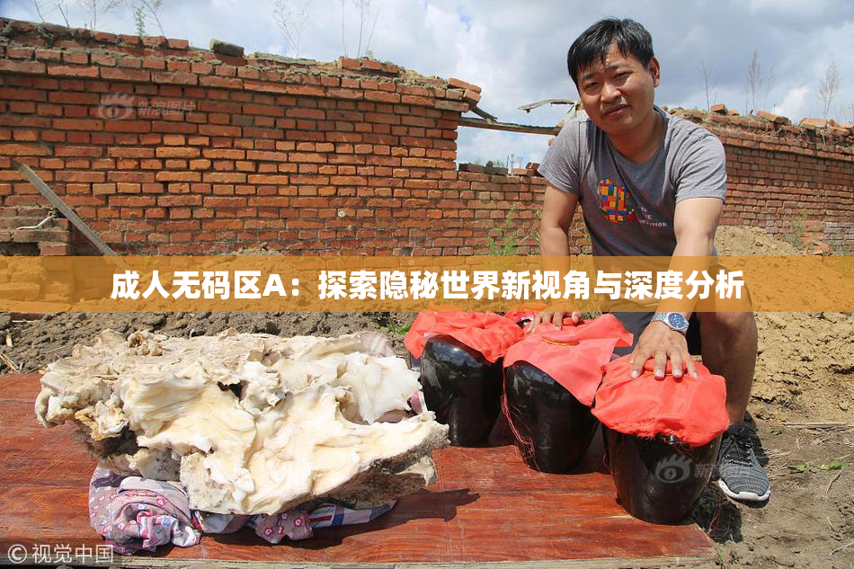 成人无码区A：探索隐秘世界新视角与深度分析