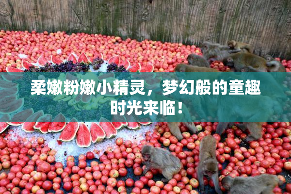 柔嫩粉嫩小精灵，梦幻般的童趣时光来临！