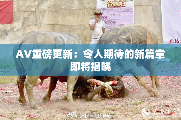 AV重磅更新：令人期待的新篇章即将揭晓