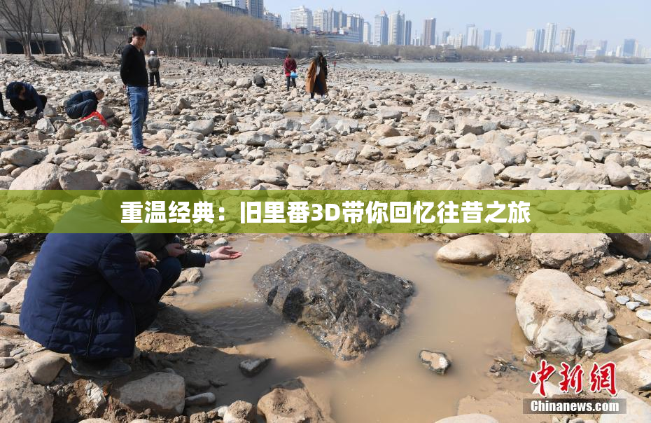 重温经典：旧里番3D带你回忆往昔之旅
