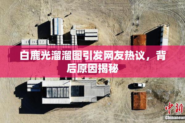 白鹿光溜溜图引发网友热议，背后原因揭秘