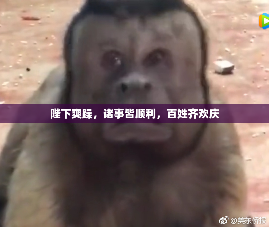 陛下爽躁，诸事皆顺利，百姓齐欢庆