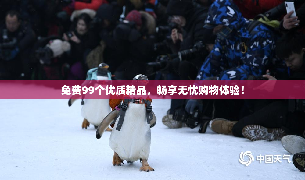 免费99个优质精品，畅享无忧购物体验！