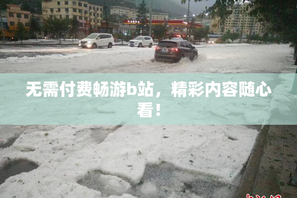 无需付费畅游b站，精彩内容随心看！