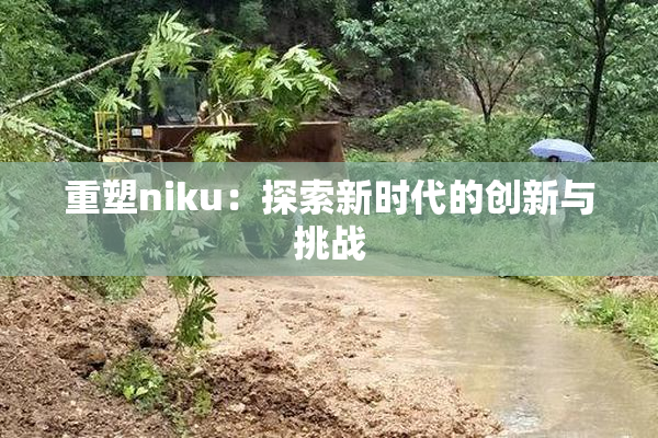 重塑niku：探索新时代的创新与挑战