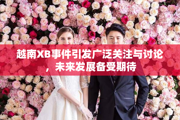 越南XB事件引发广泛关注与讨论，未来发展备受期待