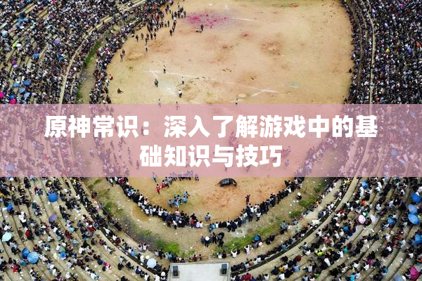 原神常识：深入了解游戏中的基础知识与技巧