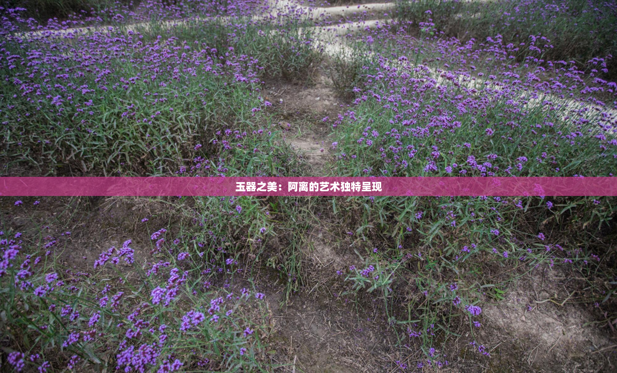 玉器之美：阿离的艺术独特呈现