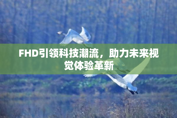 FHD引领科技潮流，助力未来视觉体验革新
