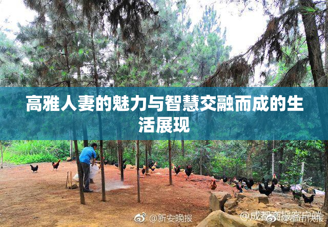 高雅人妻的魅力与智慧交融而成的生活展现