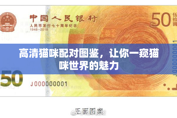 高清猫咪配对图鉴，让你一窥猫咪世界的魅力