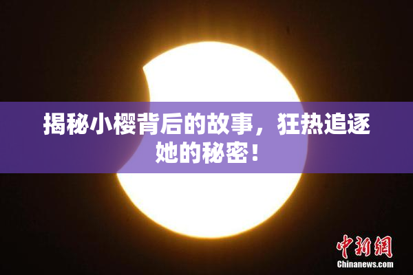 揭秘小樱背后的故事，狂热追逐她的秘密！