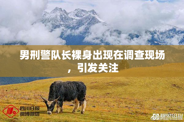 男刑警队长裸身出现在调查现场，引发关注