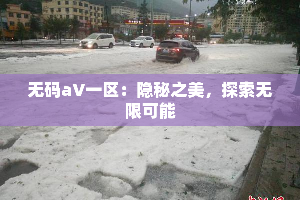 无码aV一区：隐秘之美，探索无限可能