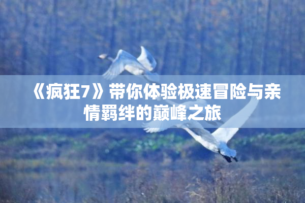 《疯狂7》带你体验极速冒险与亲情羁绊的巅峰之旅