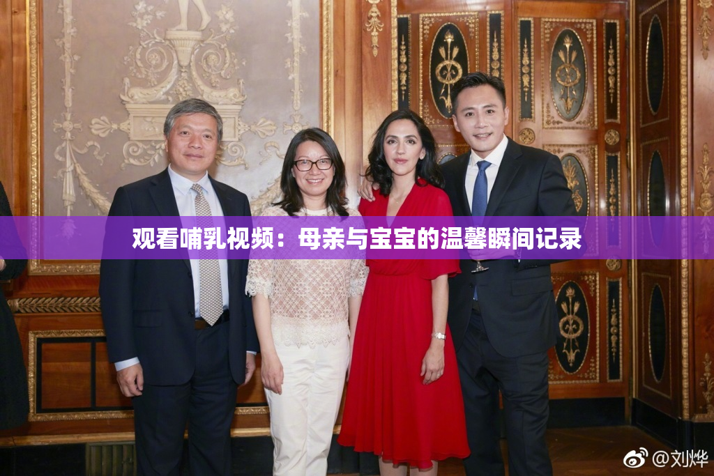 观看哺乳视频：母亲与宝宝的温馨瞬间记录