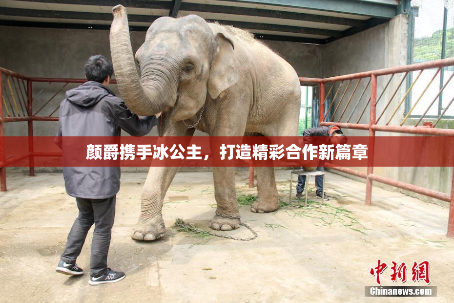 颜爵携手冰公主，打造精彩合作新篇章