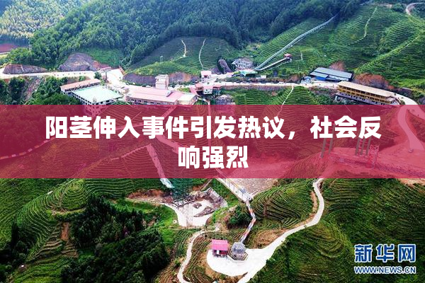阳茎伸入事件引发热议，社会反响强烈