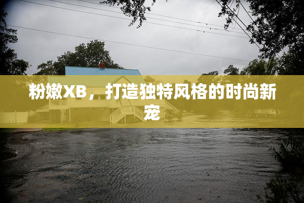 粉嫩XB，打造独特风格的时尚新宠