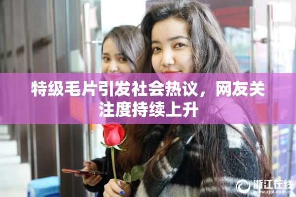 特级毛片引发社会热议，网友关注度持续上升
