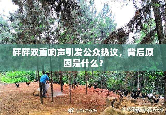 砰砰双重响声引发公众热议，背后原因是什么？