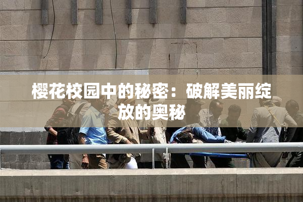 樱花校园中的秘密：破解美丽绽放的奥秘