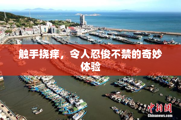 触手挠痒，令人忍俊不禁的奇妙体验