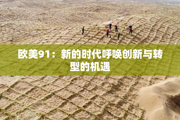 欧美91：新的时代呼唤创新与转型的机遇