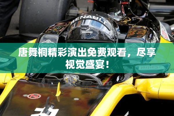 唐舞桐精彩演出免费观看，尽享视觉盛宴！