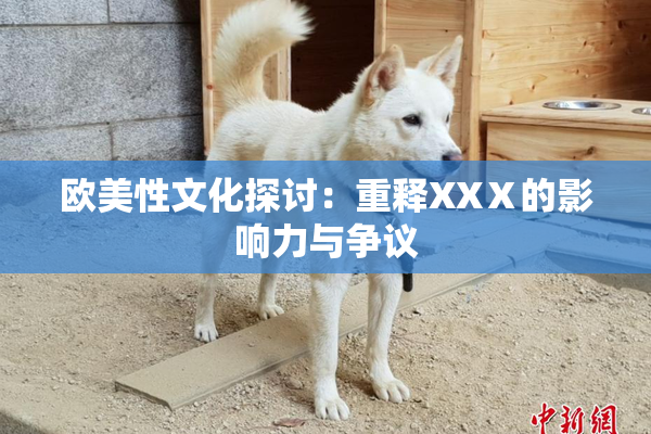 欧美性文化探讨：重释XXⅩ的影响力与争议