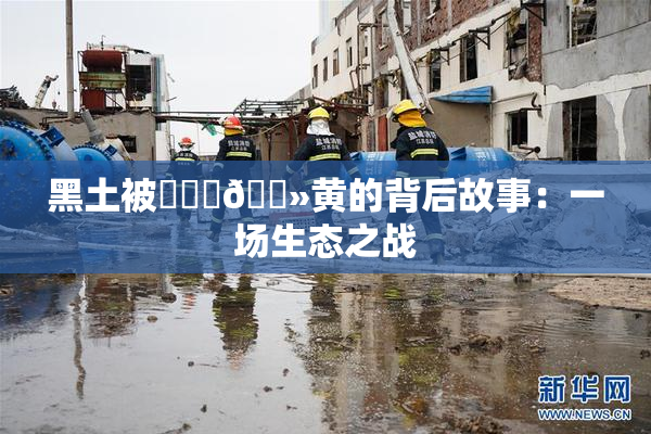 黑土被❌‌‌🐻黄的背后故事：一场生态之战