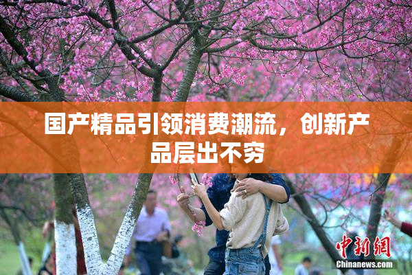 国产精品引领消费潮流，创新产品层出不穷