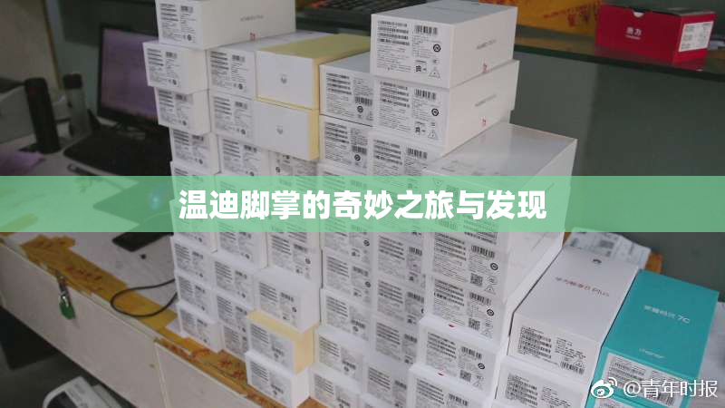 温迪脚掌的奇妙之旅与发现