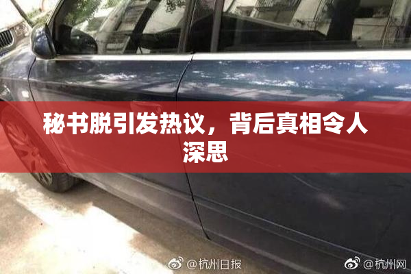秘书脱引发热议，背后真相令人深思