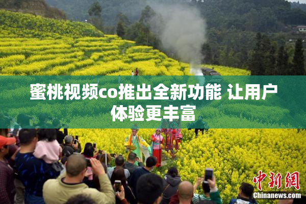 蜜桃视频co推出全新功能 让用户体验更丰富