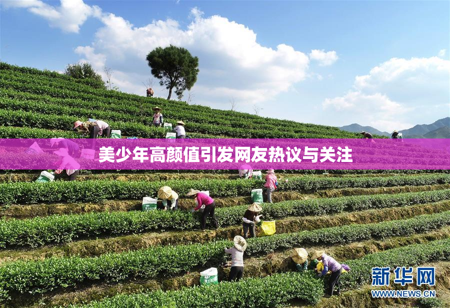 美少年高颜值引发网友热议与关注