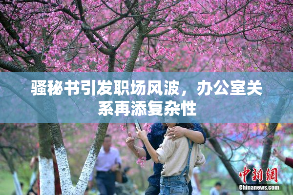 骚秘书引发职场风波，办公室关系再添复杂性