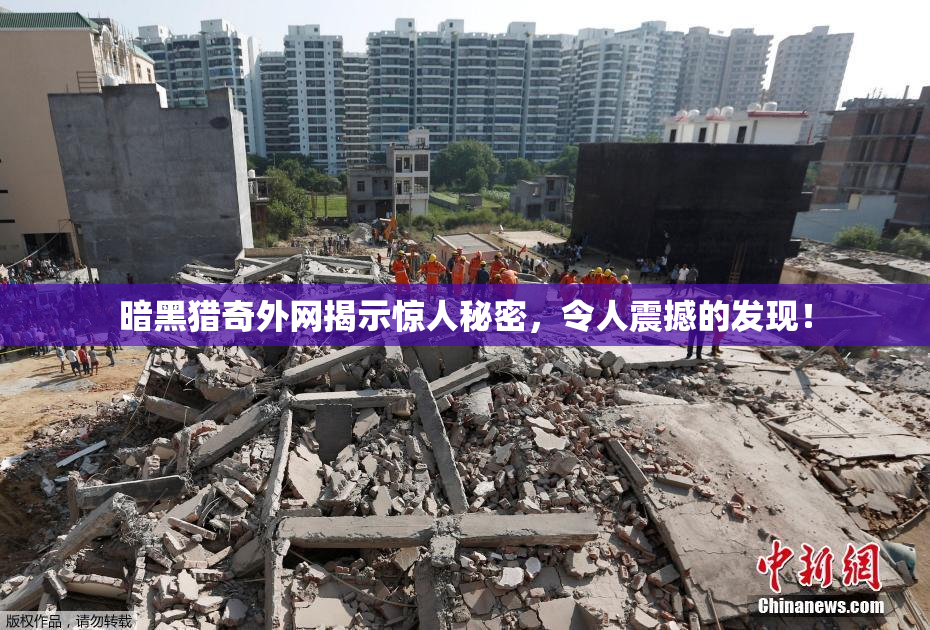 暗黑猎奇外网揭示惊人秘密，令人震撼的发现！