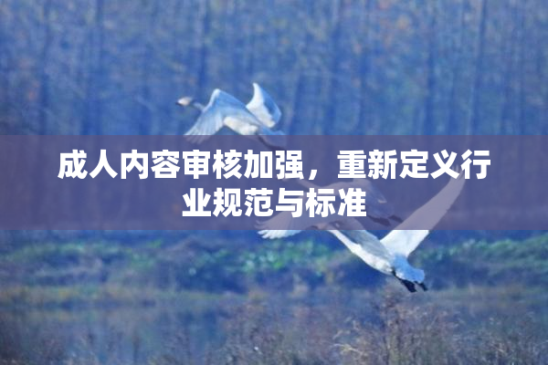 成人内容审核加强，重新定义行业规范与标准