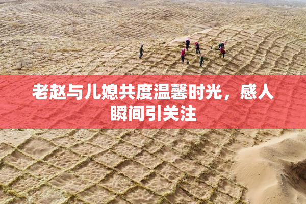 老赵与儿媳共度温馨时光，感人瞬间引关注
