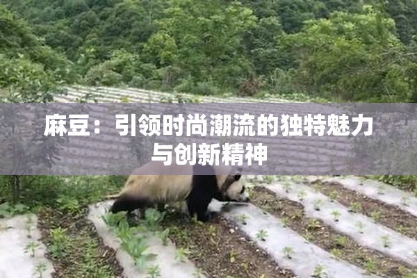 麻豆：引领时尚潮流的独特魅力与创新精神